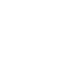 Telefon-Icon